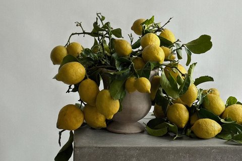 4_11-Limoncello-Event-Anine-Bing-Manhasset