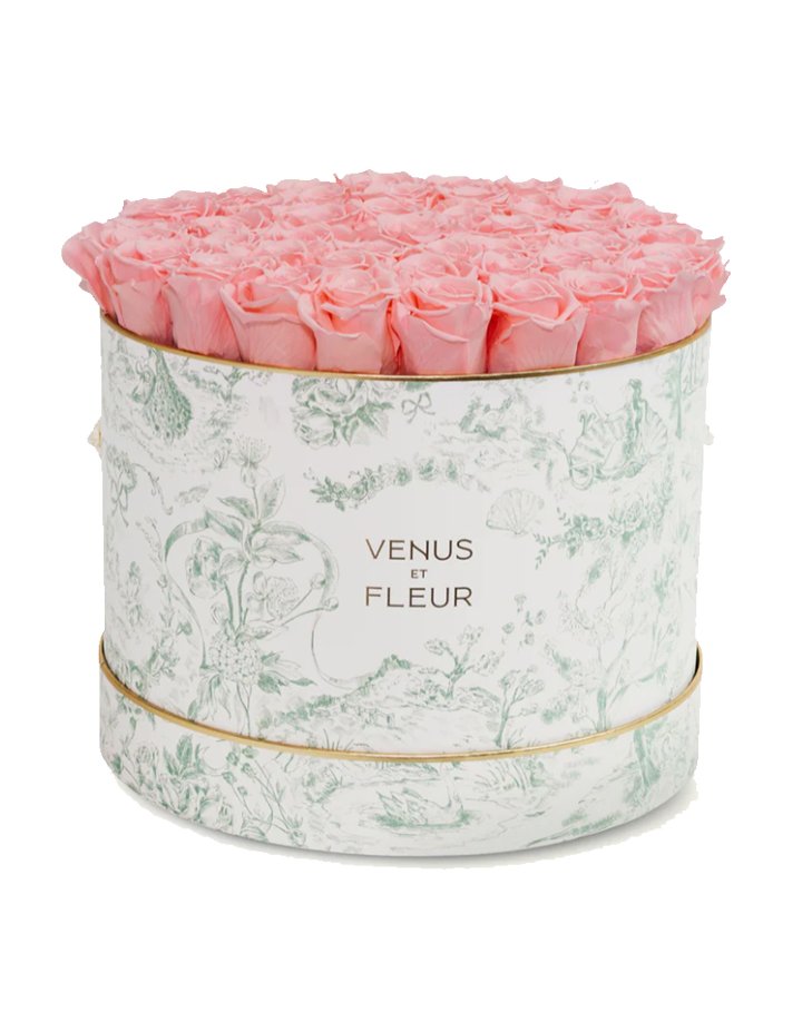 720x960_VenusetFleur_GiftsfortheGrads2025_unnamed-11