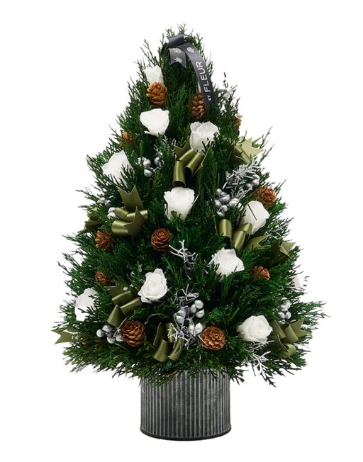 720x960_VenusetFleur_GiftsfortheHost2025