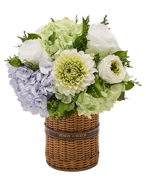 720x960_VenusetFleur_MothersDay2026_unnamed-14