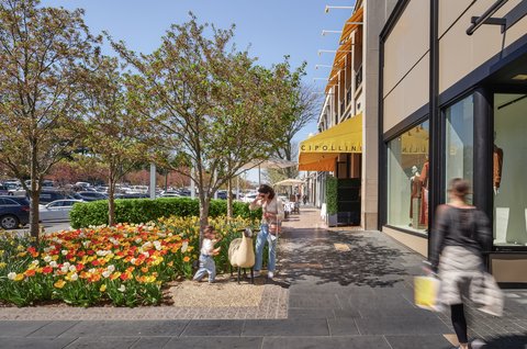 AM_Cipollini__sheep_storefront_AM_2024PB06_3625