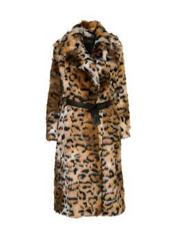 TrendingNow_AnimalInstincts_Hirshleifers_2019