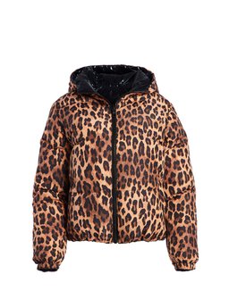 TrendingNow_AnimalInstincts_AliceOlivia_2019
