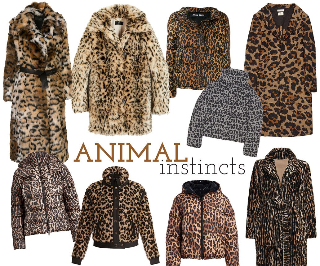 TrendingNow_AnimalInstincts_CoverImage_2019