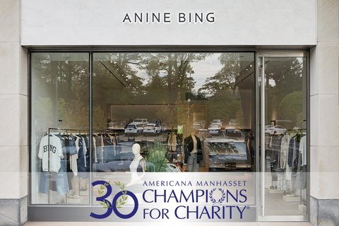 Anine-Bing_C4C-2025-Promo-Box_720x480