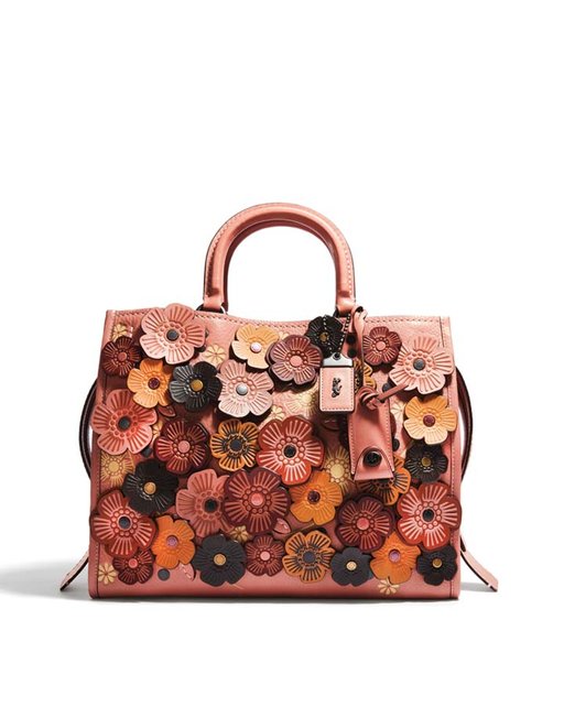 Bonjour_Coach_Bag_720x960.jpg