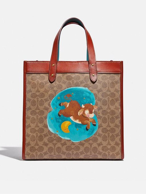LNY_720x960__0005_coach.jpg