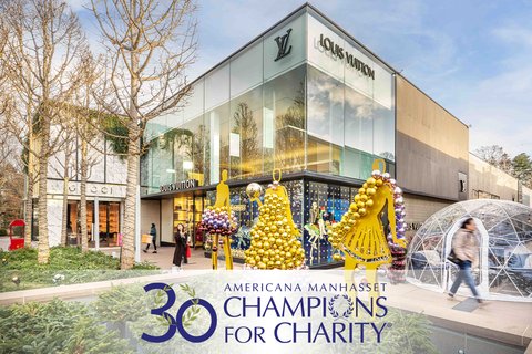 Louis-Vuitton2_C4C-2025-Promo-Box_720x480