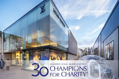 Louis-Vuitton_C4C-2025-Promo-Box_720x480