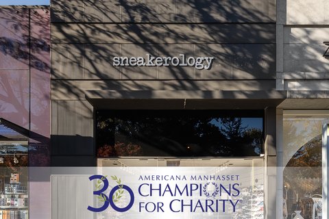 Sneakerology_C4C-2025-Promo-Box_720x480