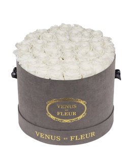 VenusetFleur_MothersDay_2023