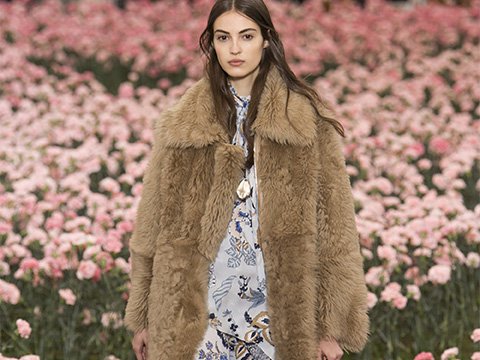 toryburch_fall2018_mainpage.jpg