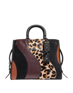 TrendingNow_CheetahChatter_Coach_2018