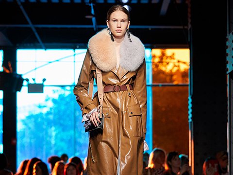 dvf_spring2018_mainpage.jpg