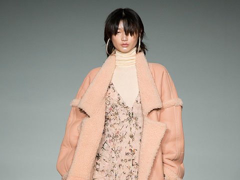 zimmermann_fall2017_009.jpg