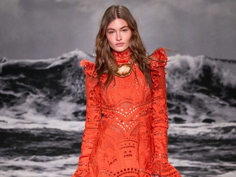 zimmermann_spring2020_mainpage.jpg