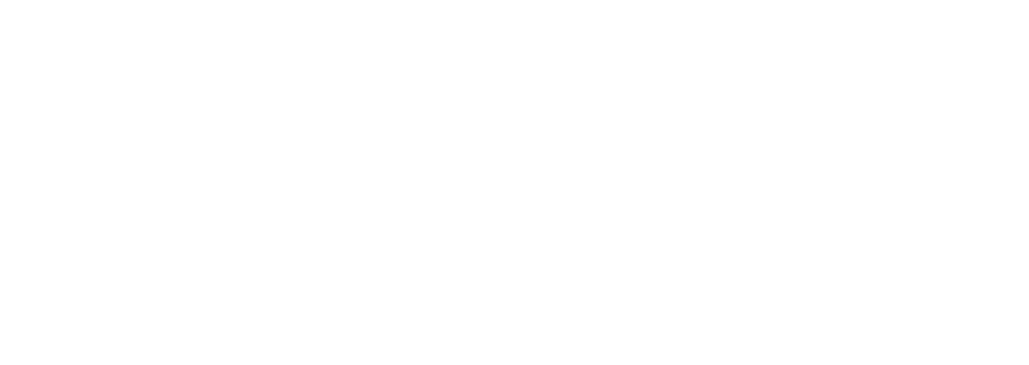 Champions for Charity Domain Logo